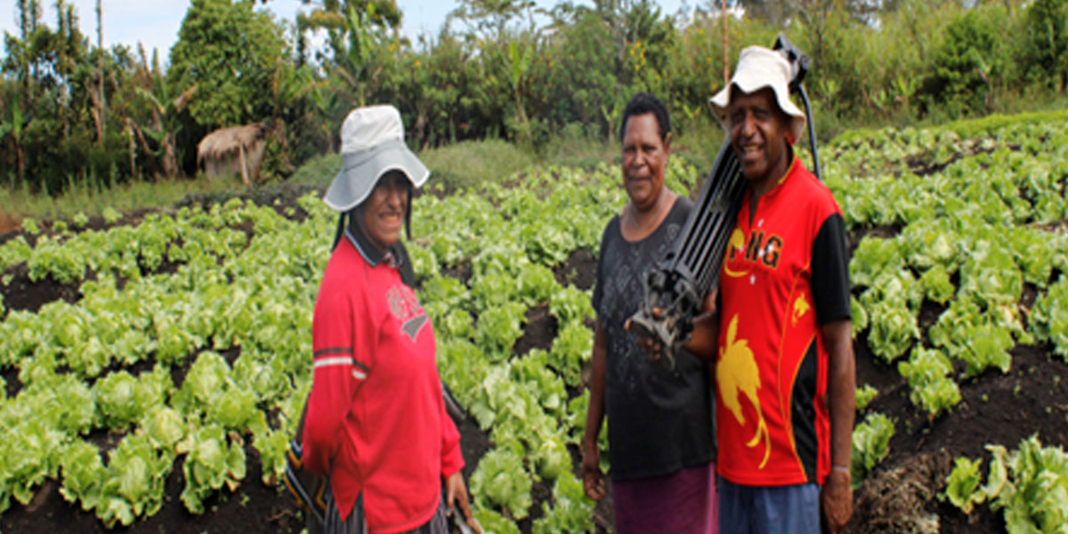 Inclusive Business Partnership Program Have Turned Farmers into Leaders